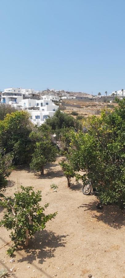 Demis Mykonos Stay 2 Platys Gialos  Exterior foto