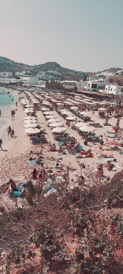 Demis Mykonos Stay 2 Platys Gialos  Quarto foto